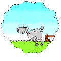 [ sheep ]